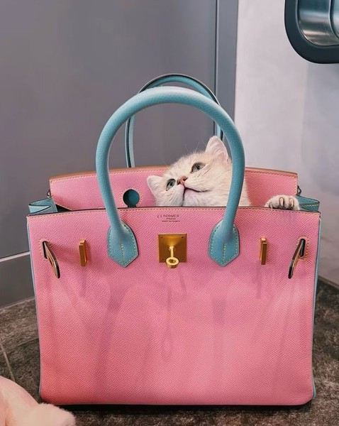 Hermes Birkin30 Rose Confetti and Bleuet BGHW Epsom T Stamp