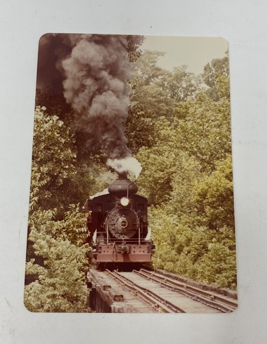 Orig Photo Whitewater Valley #100 Connersville IN Indiana Railroad Steam