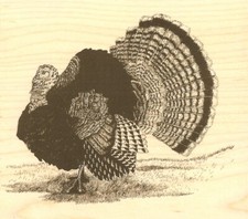 Thanksgiving TURKEY Wood Mounted Rubber Stamp IMPRESSION OBSESSION J7042 New