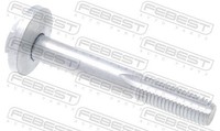 Febest 2129-001 Sturzkorrektur Schraube FüR Ford, Ford Usa, Volvo