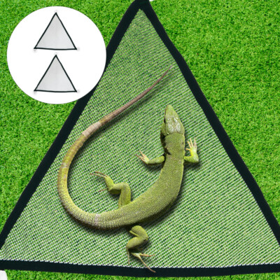 2Pcs Reptile Habitat Accessories Reptile Lounger Lizard officiel Lounger Ladder
