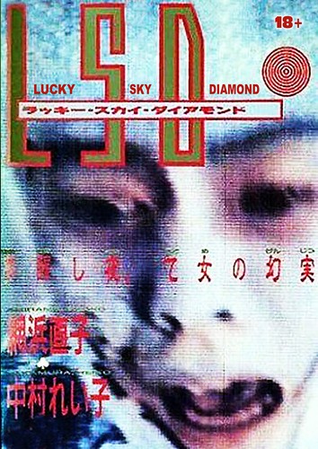 LSD LUCKY SKY DIAMOND (1989) Reiko Nakamura / Notorious Gore Shocker English sub - Picture 3 of 4