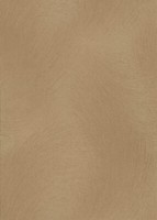 Erismann Vliestapete Spotlight 2 Gold 1040330