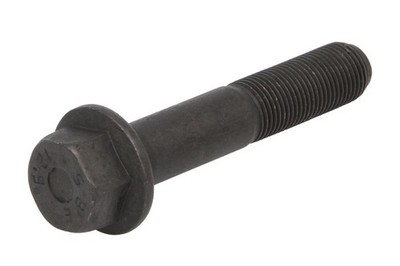 For EURORICAMBI 81171440 Screw, Crown Gear Differential 81171440 Bolt M16x1.5