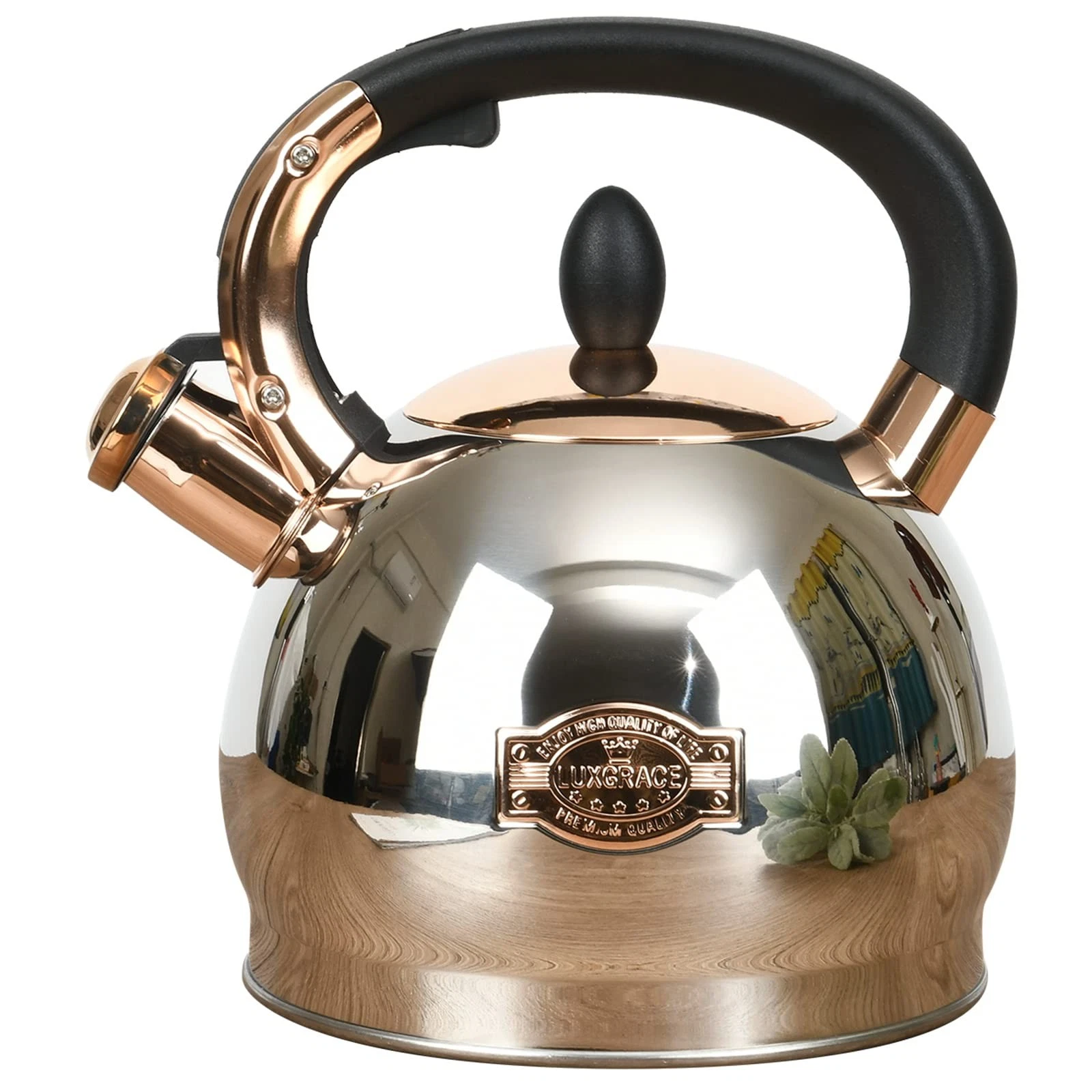 Stainless Steel Whistling Tea Kettle with Metal Capsulated Bottom for Quick H...