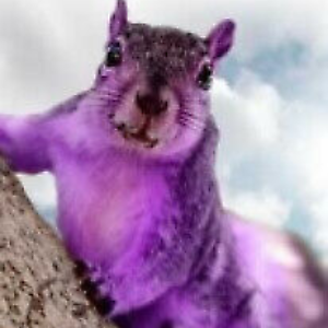 Purple Squirrel Emporium | eBay Stores