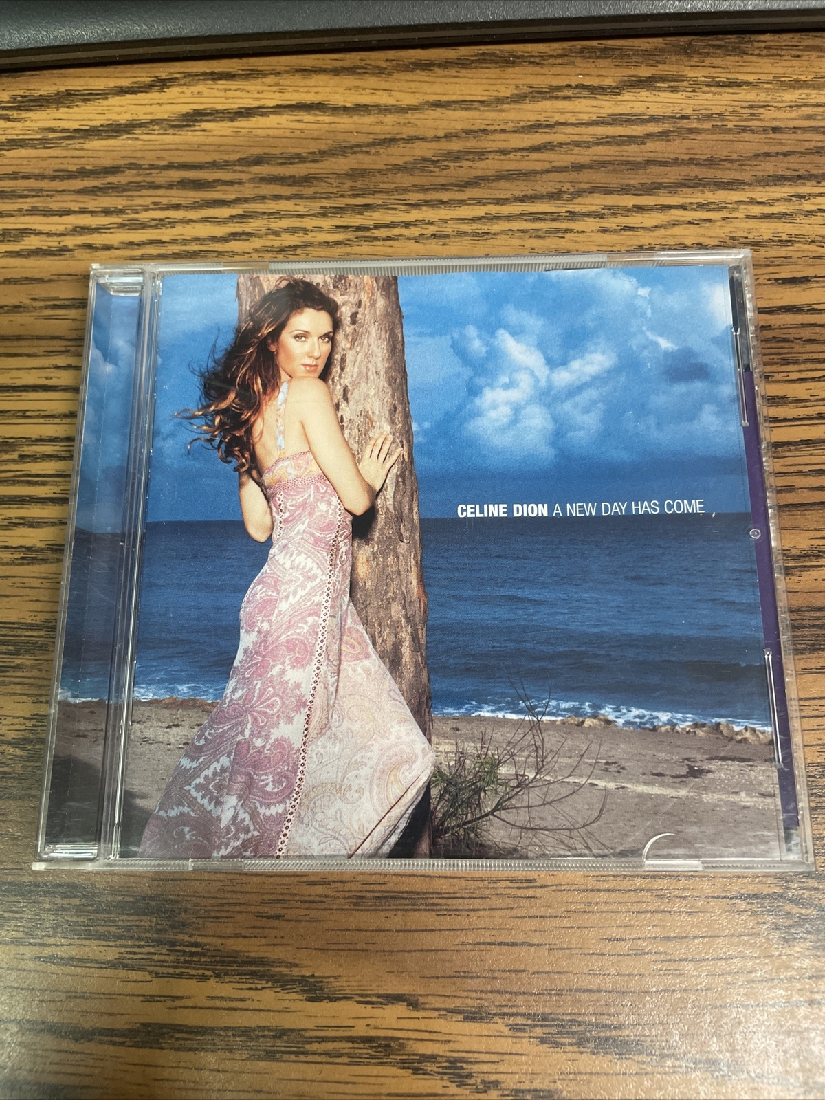 A New Day Has Come by Céline Dion (CD, Mar-2002, Epic)
