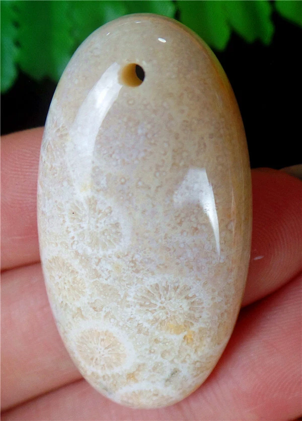 OFF WHITE Ciondolo Reiki Ovale 41x22x8mm Crisantemo Bianco Naturale Bianco Strano BV65537