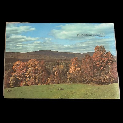 Vtg Placemat Large Single Photo Scenic Reversable Home Decor #9 Missouri