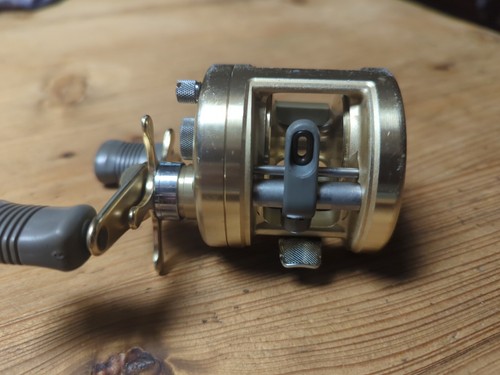 Shimano Calcutta 250 Gold Baitcasting Fishing Reel Boat Rash Works Perfect 8/10 - Picture 4 of 7
