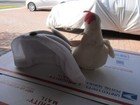 Bild 8 von 10