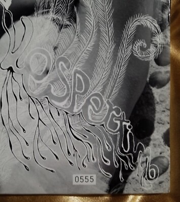 Vespertine Björk 2 LP Vinyl 2009 One Little Indian USA Limited