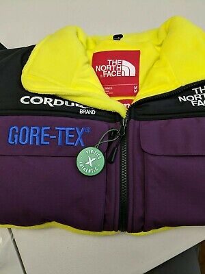 gore tex supreme north face