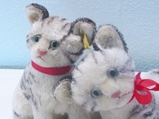Steiff Katzen Kitty und Susi  22 cm mit ID's