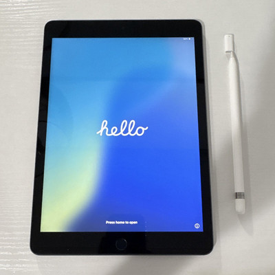 Apple iPad 9th Gen 10.2in 64GB Wi Fi Gray w/ Apple Pencil Stylus