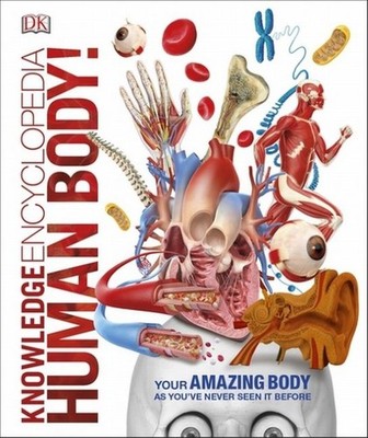 Knowledge Encyclopedia Human Body!9780241286852