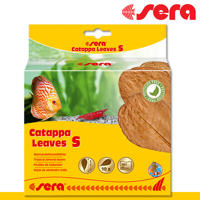 sera 10 St Catappa Leaves S Seemandelbaumblätter natürliche Wasseraufbereitung