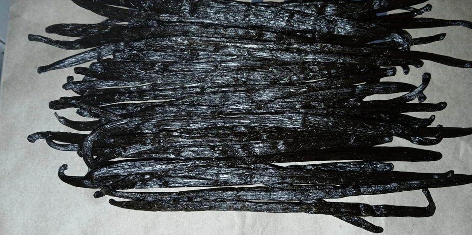 50 XL Organic Madagascar Vanilla Beans Grade A Pods for Vanilla Extract & Baking - Image 2 of 4