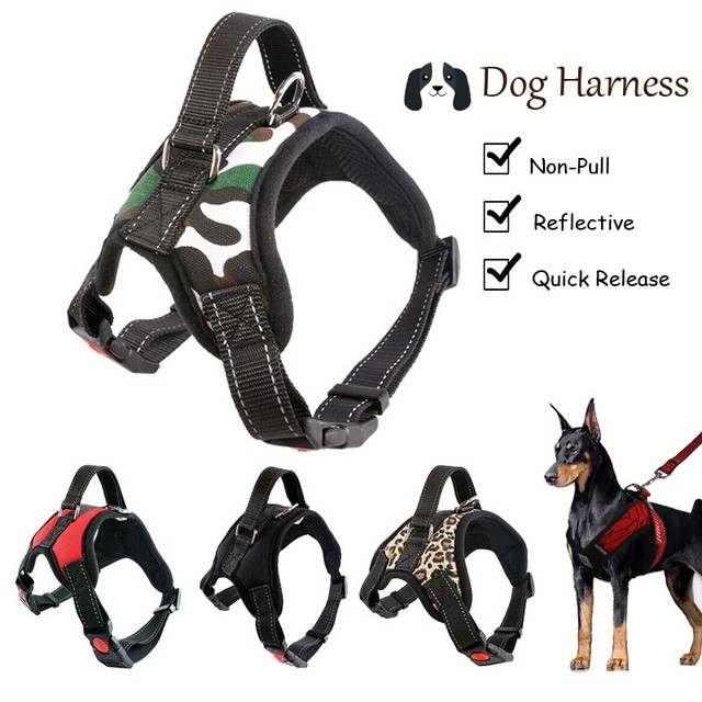 Vibrant Life Harness For Dogs Medium Blue eBay