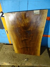 A2278    2" THICK  black walnut Live Edge Slab lumber KILN DRIED