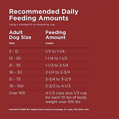 Purina Dog Chow Complete Adult Dry Dog Food Kibble Beef Flavor - 18.5 lb. Bag