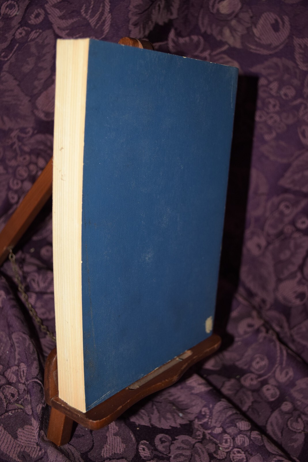 Picture 9 of 9