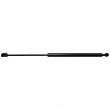 Liftgate Lift Support Strong Arm 4079 fits 03-08 Pontiac Vibe
