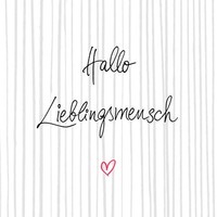 20 Servietten Hallo SprüChe Streifen Herz Liebe GäSte Tischdeko 33X33Cm