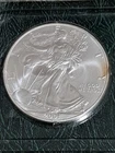 American Silver Eagle Coin 1oz  Fine Silver 2001