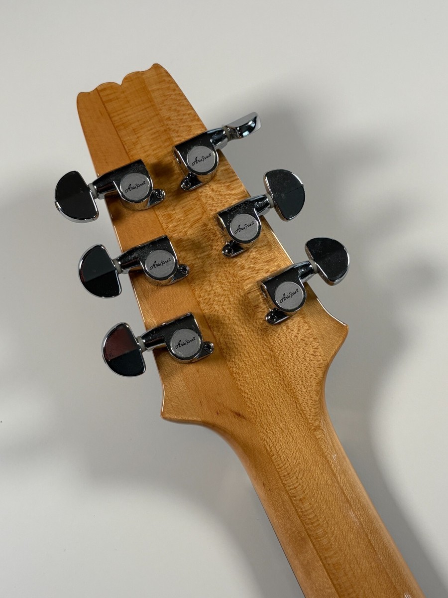 AriaProⅡ CS-350 MATSUMOKU/マツモク製 オリジナルケース AriaProⅡ CS-350 MATSUMOKU/マツモク製 オリジナルケース