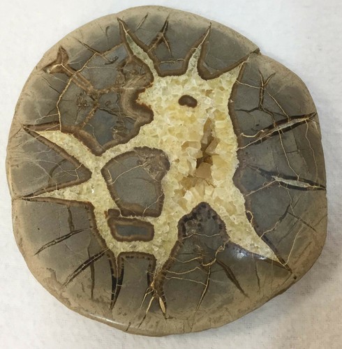 Septarian Nodule Slice Slab Stone Rock Mineral Utah Specimen Yellow Crystals - Picture 2 of 4