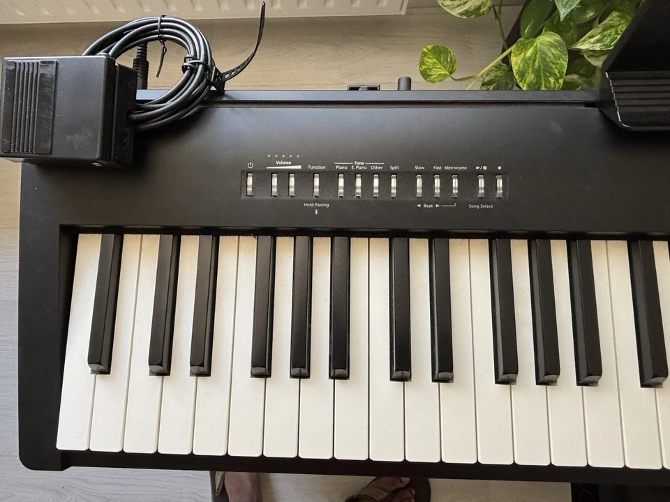 Roland FP-30X, photo 3 sur 4