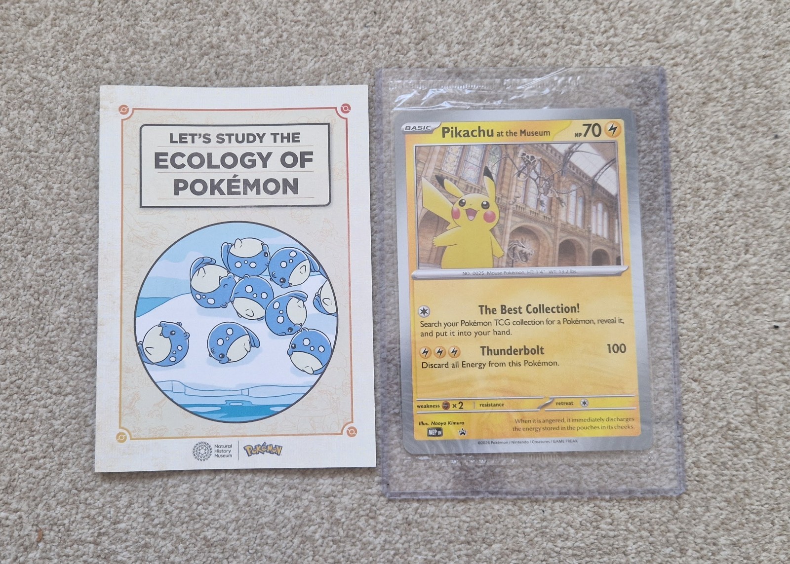 Pikachu at the Museum Jumbo Sealed Card + Toploader + Ecology of Pokemon Booklet