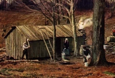 1907 RIGNEY & CO. MAPLE SUGAR SYRUP REFINERS DISTRIBUTERS, BROOKLYN NY PC AD P21