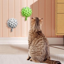 2Pcs Cats Catnip Balls Gifts for Kitten Rotatable Dustproof Kitten Toys Rubbing