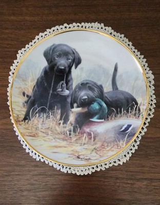 FRANKLIN MINT LIMITED EDITION “Beginners' Luck” Plate # W8846 Fine