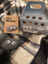 A24 Pet Rock Everything Everywhere All at Once Official Merchandise