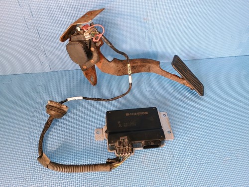 THROTTLE PEDAL & TAC MODULE - '03-'05 Chevy GMC 4.8L 5.3L 6.0L Chevy - USED - 第 1/10 張圖片