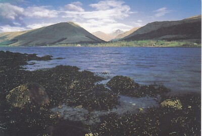 Postkarte Loch Fyne von Austernbar Ardkinglas Cairndow Argyll meine Ref TU