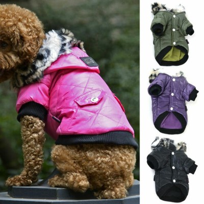 puppy bomber jacket