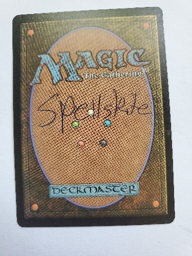 MTG Mercadian Masques Urza's Destiny 未開封 MTG Mercadian Masques Urza's Destiny 未開封 MTG Mercadian