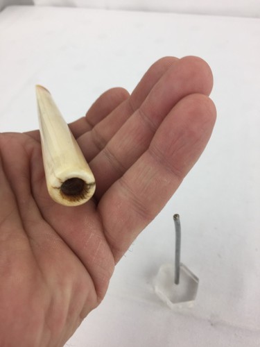 Zigarettenspitze antik Bein Tabak auf Ständer Plexiglas - Bild 10 von 12