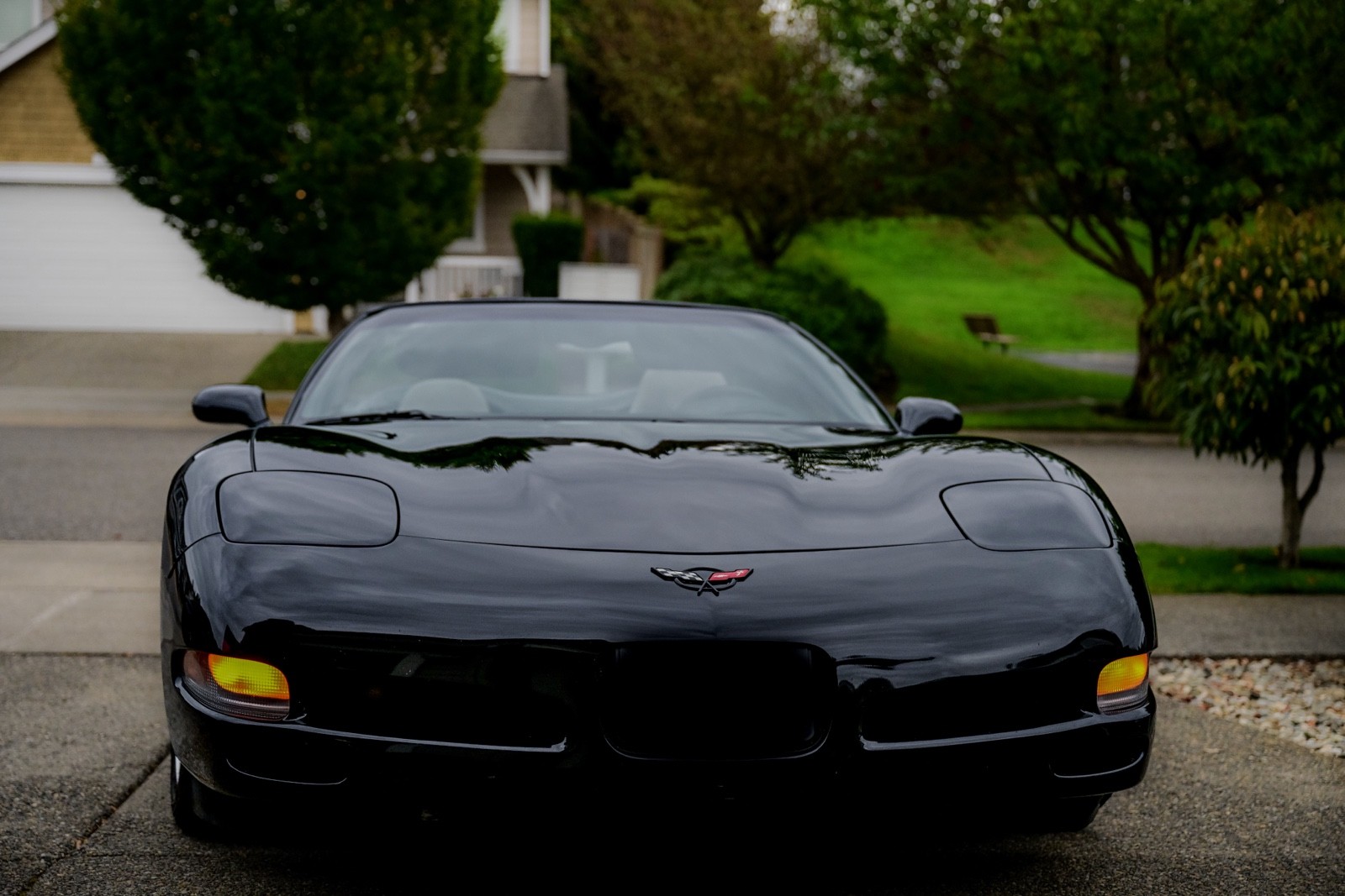 2002 Black Chevrolet Corvette   | C5 Corvette Photo 4