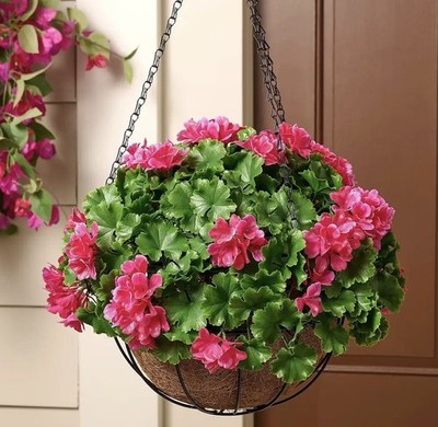 Wicker Park 17'' Faux Floral Indoor/Outdoor Spring Hanging Basket Pink Geranium
