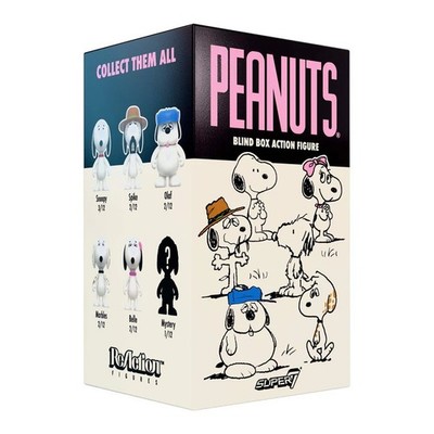 Super7 Peanuts Mystery Blind Box Reaction Figure Wave 10 | eBay