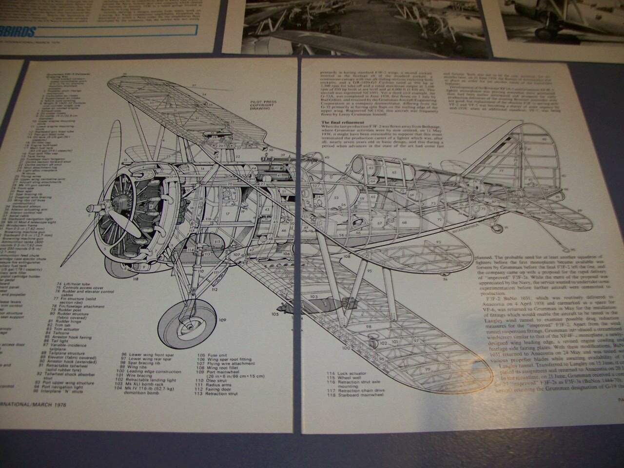 Picture 6 of 7