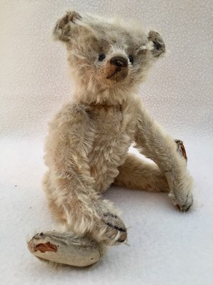 bear with button in ear