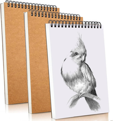 Mixed Media Sketch Pad 5.5'' X 8.5'', Spiral Bound, 90 Sheets, Pack of 3