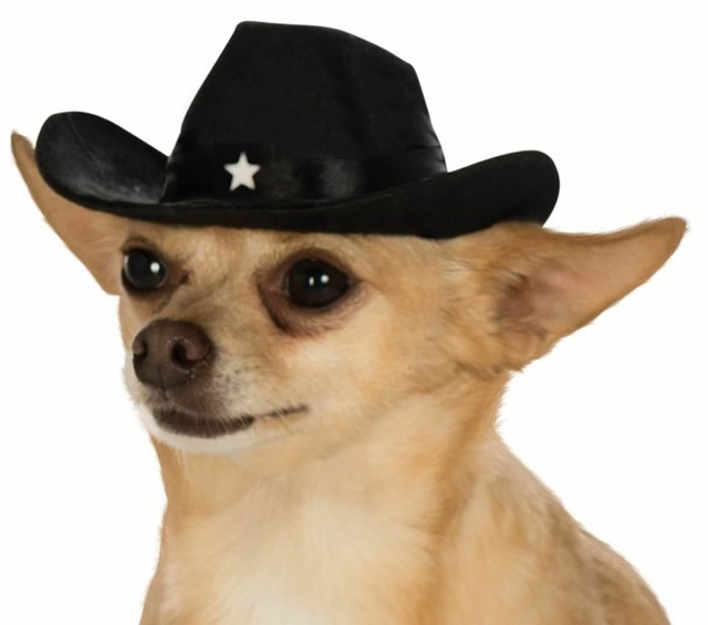 cowboy dog hat