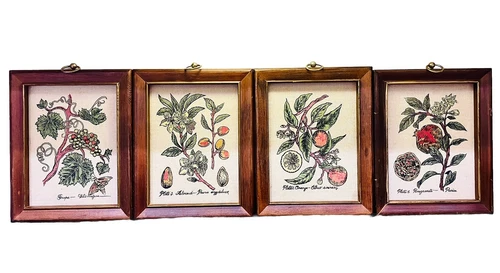 4 Pc Vintage Homco Orange Almond Grape Pomegranate Burlap Wood Frames Wall Art